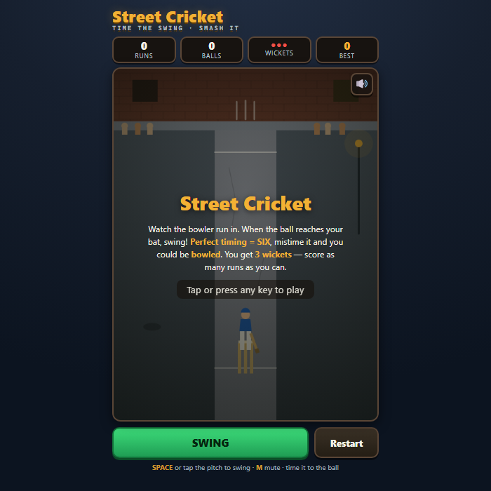 Street Cricket